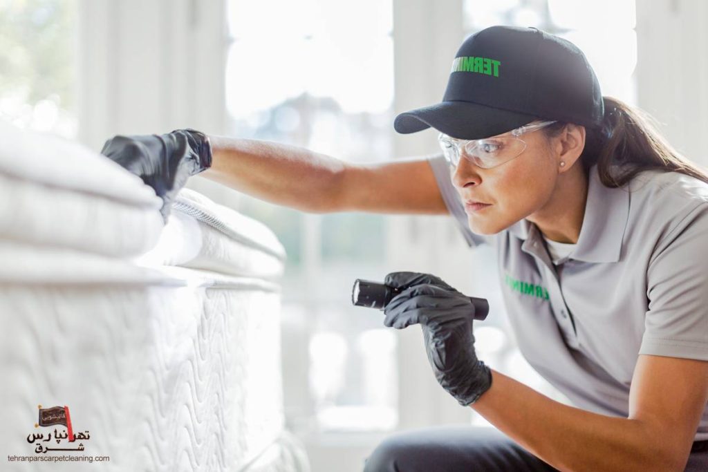 سمپاشی تضمینی ساس در تهرانپارس