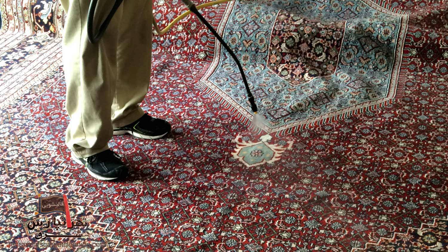  شستشوی قالی 