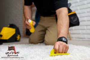 آموزش پاک کردن لکه چسب از روی موکت