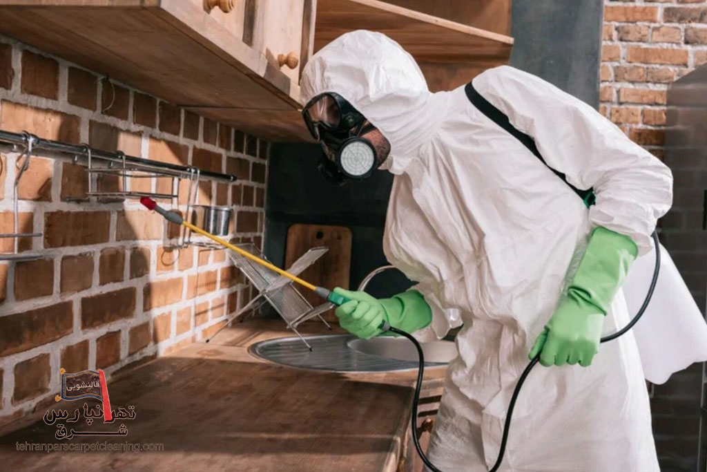 سمپاشی و دفع حشرات موذی تهرانپارس