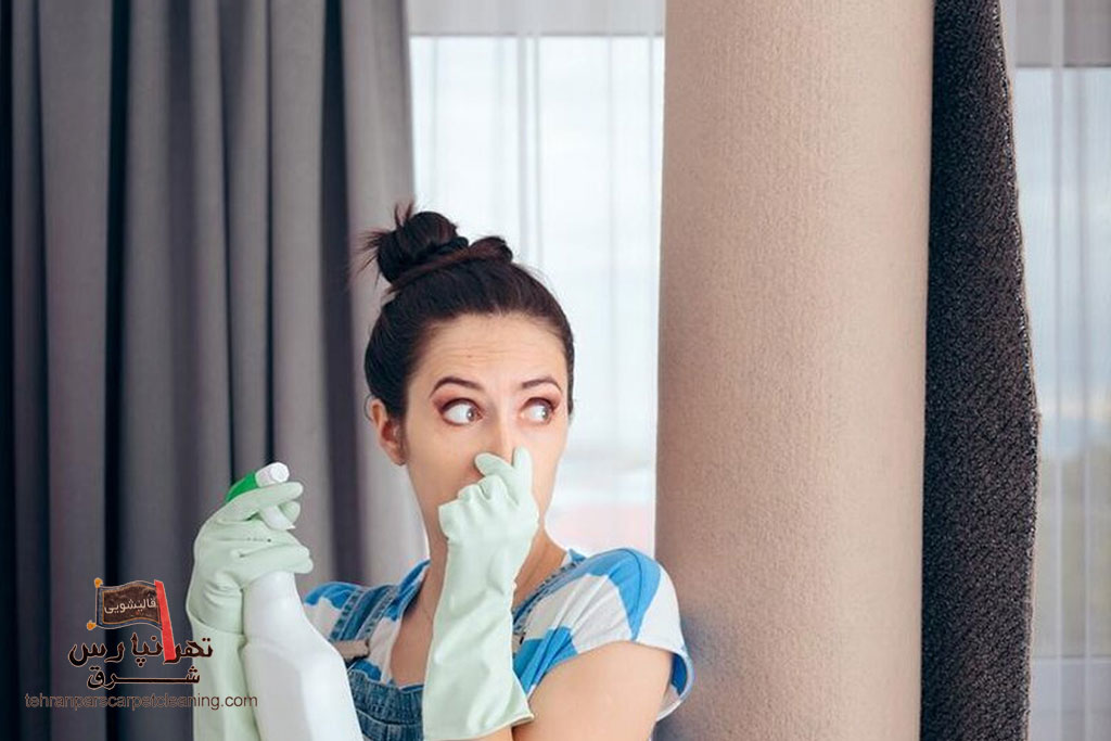 رفع بوی بد فرش