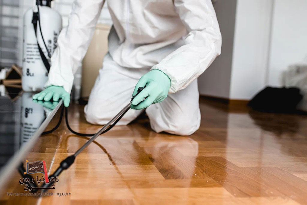 سمپاشی در منزل برای دفع ساس