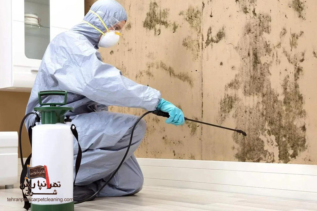 سمپاشی در منزل