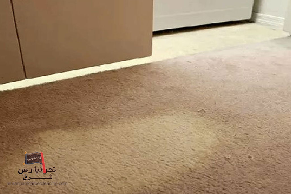 اثرات وایتکس روی فرش