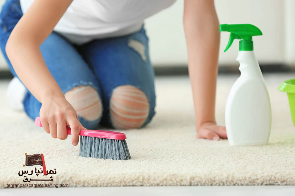 انواع شوینده‌ فرش