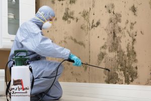 بهترین مرکز سمپاشی و دفع حشرات موذی تهرانپارس