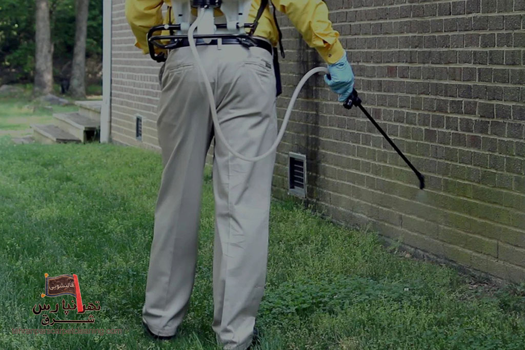 بهترین مرکز سمپاشی