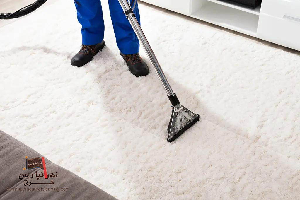  لکه‌های ناشی از حیوانات خانگی