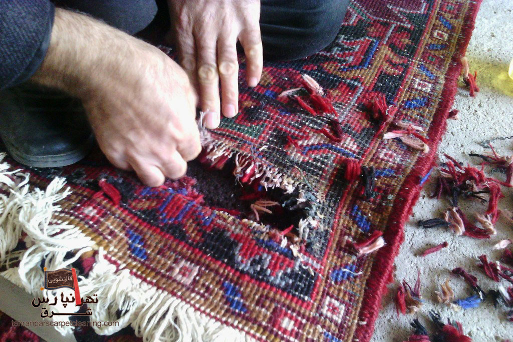 شستشوی تخصصی یا رفوگری فرش