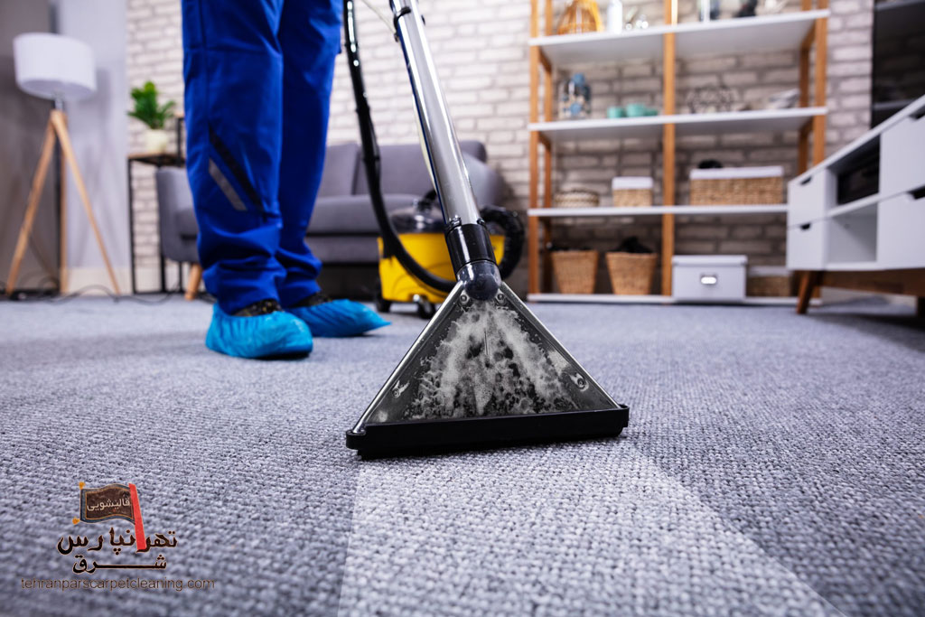 راهنمای جامع برای مراقبت فصلی از فرش (بهار، تابستان، پاییز، زمستان)