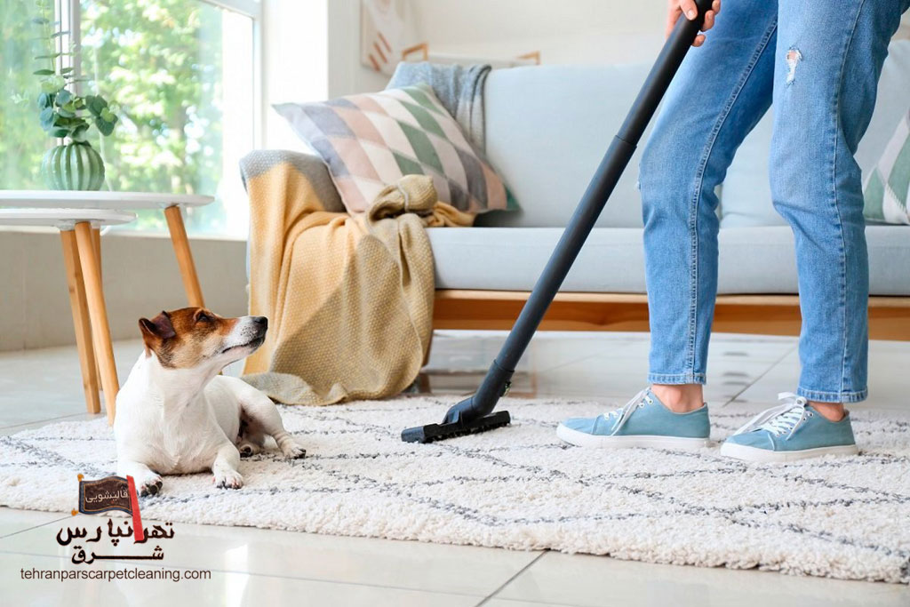 نگهداری فرش در خانه‌هایی با حیوانات خانگی