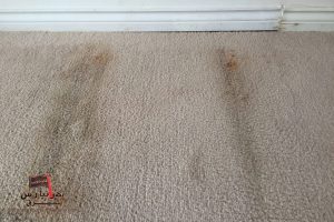 چگونه رطوبت محیط بر عمر فرش تأثیر می‌گذارد و راهکارهای مقابله