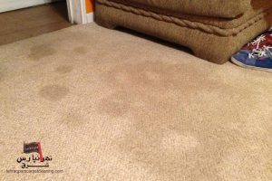 چگونه از انتشار بو و رطوبت زیر فرش پیشگیری کنیم