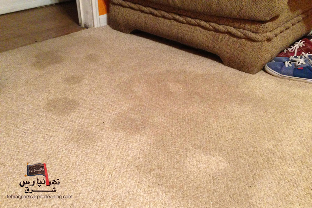 چگونه از انتشار بو و رطوبت زیر فرش پیشگیری کنیم