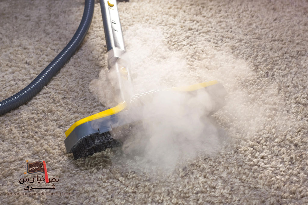 نقش آنتی‌باکتریال‌ها در شستشوی فرش