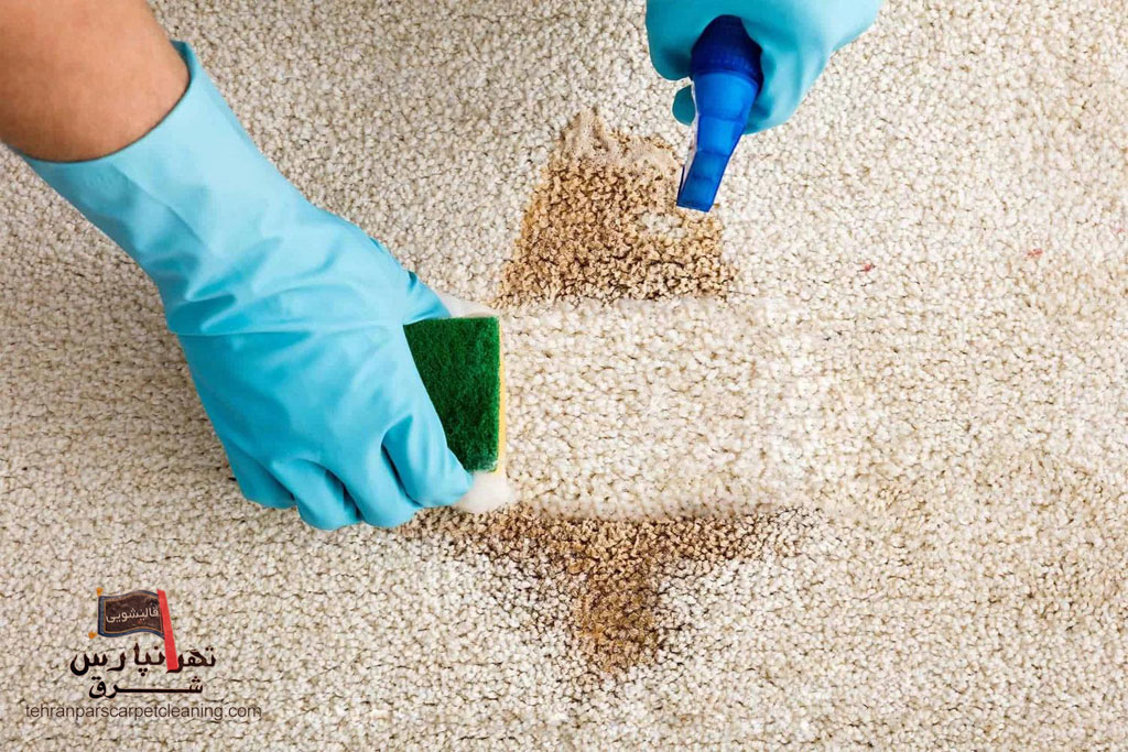 آیا همه لکه‌های فرش با روش خانگی پاک می‌شوند؟
