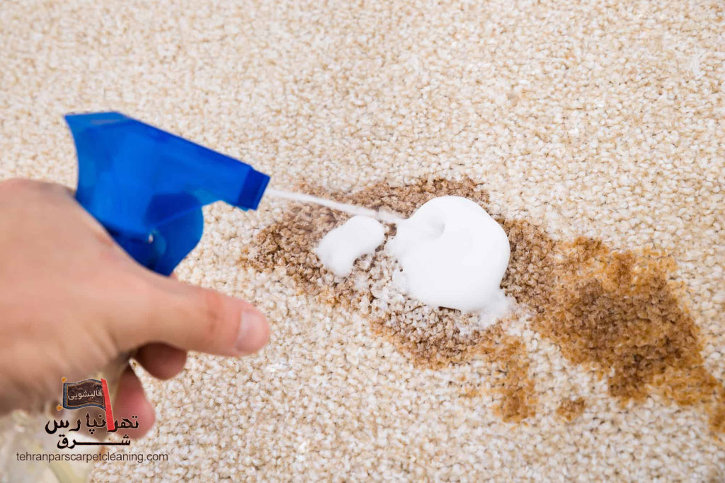  روش خانگی پاک