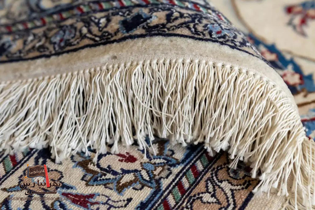 روش‌های مؤثر برای جلوگیری از بیدزدگی فرش در خانه