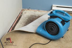 تأثیر رطوبت و نم خانه بر عمر فرش و راه‌های پیشگیری از کپک‌زدگی