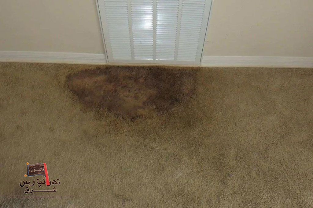 تأثیر رطوبت و نم خانه بر عمر فرش 