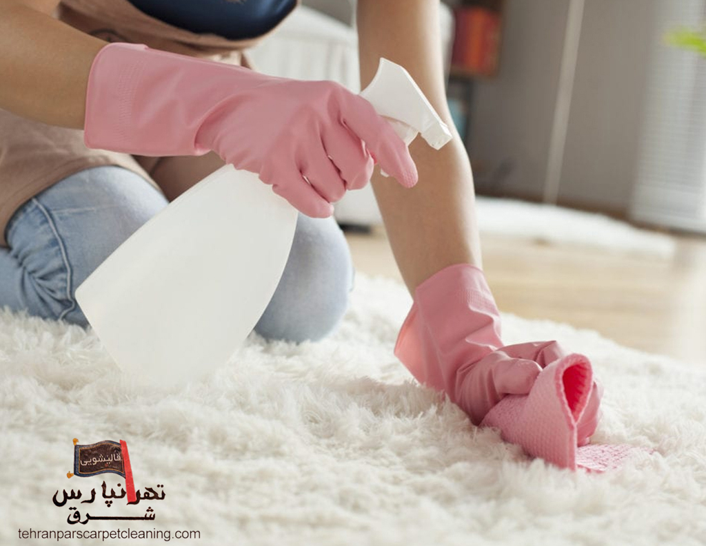 نکات مهم در استفاده از شامپو فرش